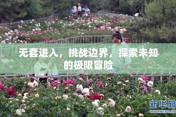无套进入，挑战边界，探索未知的极限冒险