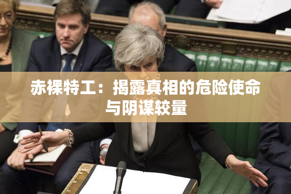赤裸特工：揭露真相的危险使命与阴谋较量