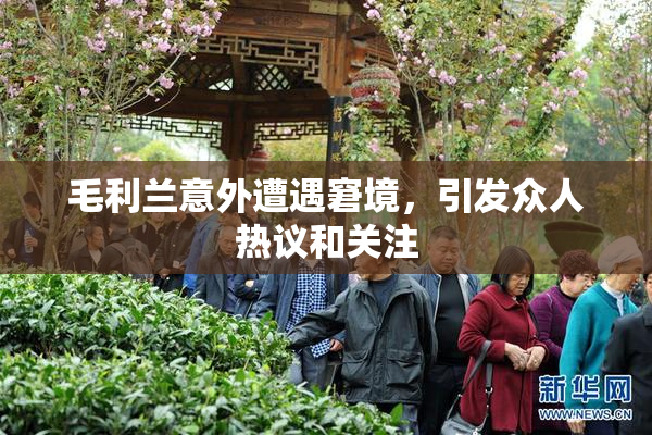 毛利兰意外遭遇窘境，引发众人热议和关注