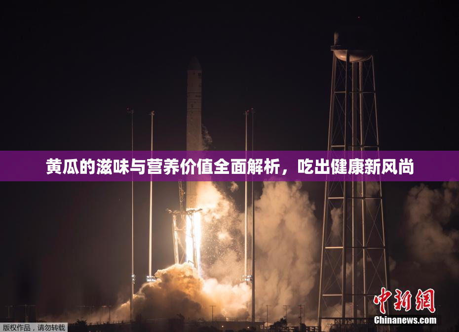 黄瓜的滋味与营养价值全面解析，吃出健康新风尚