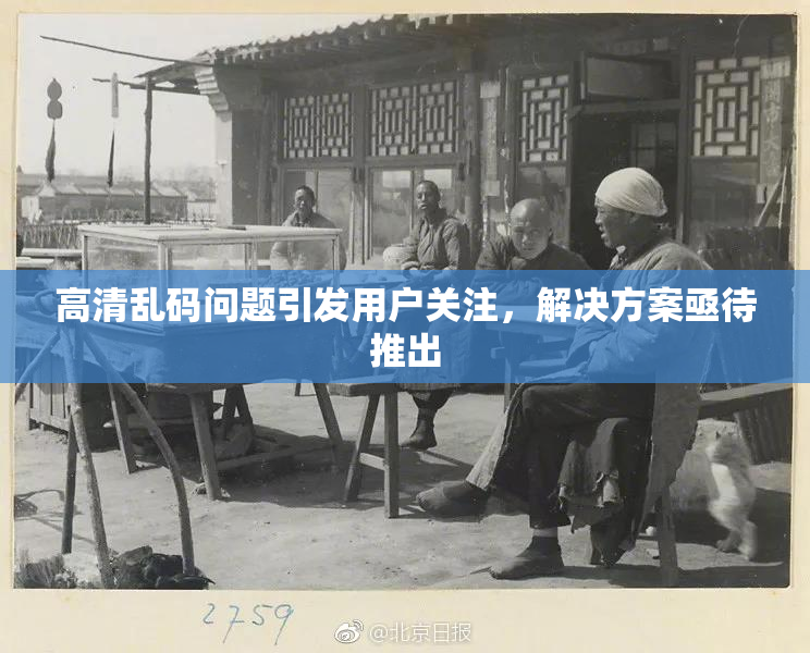 高清乱码问题引发用户关注，解决方案亟待推出