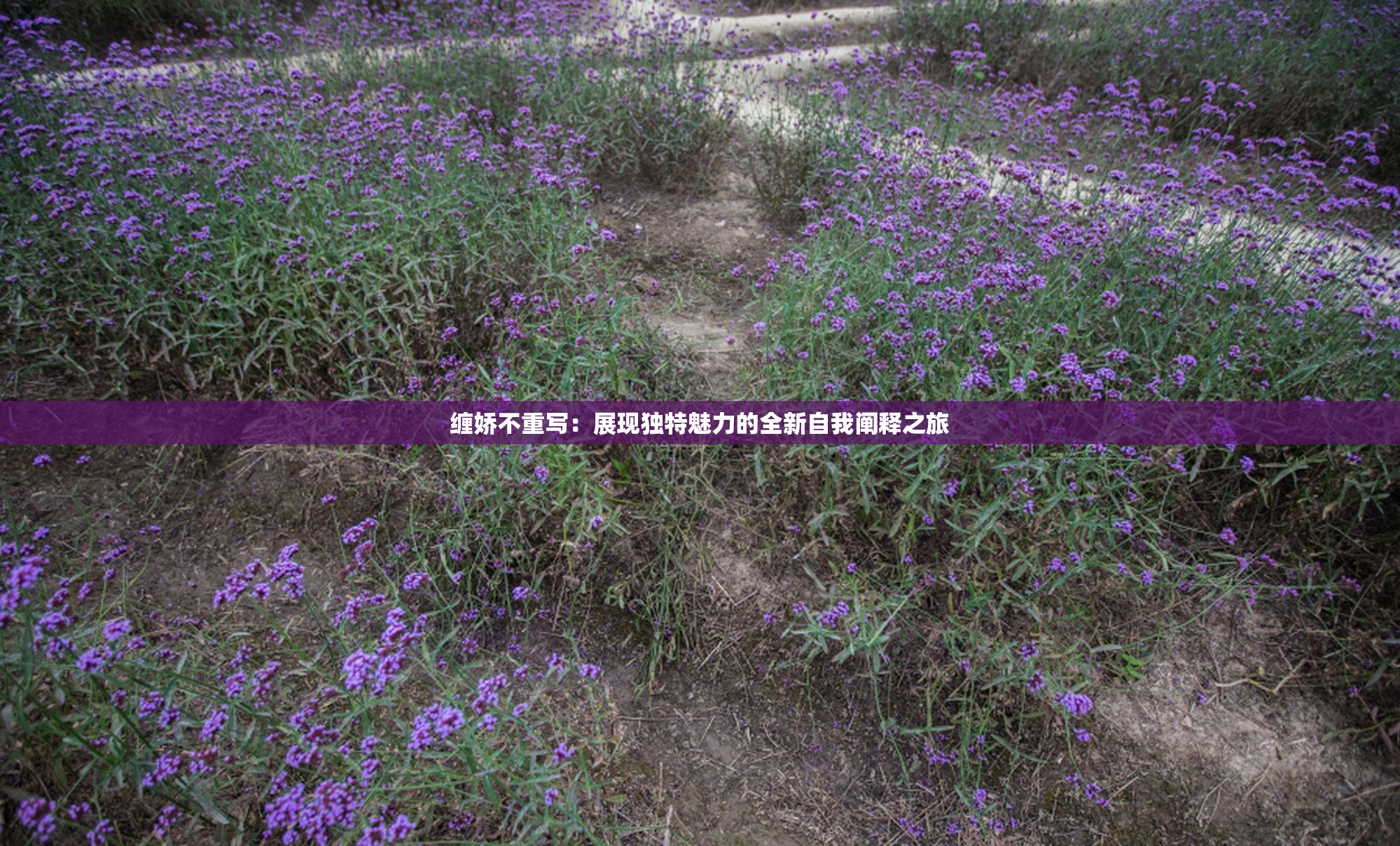 缠娇不重写：展现独特魅力的全新自我阐释之旅
