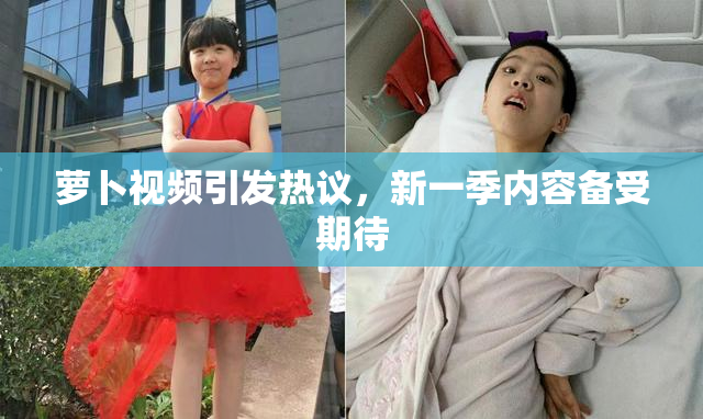 萝卜视频引发热议，新一季内容备受期待