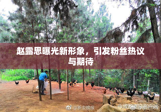 赵露思曝光新形象，引发粉丝热议与期待