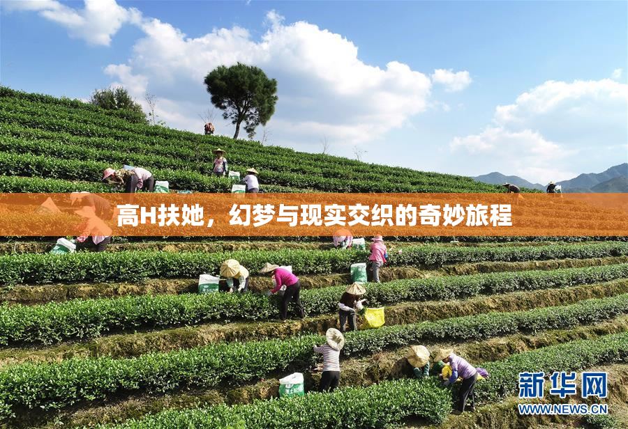 高H扶她，幻梦与现实交织的奇妙旅程