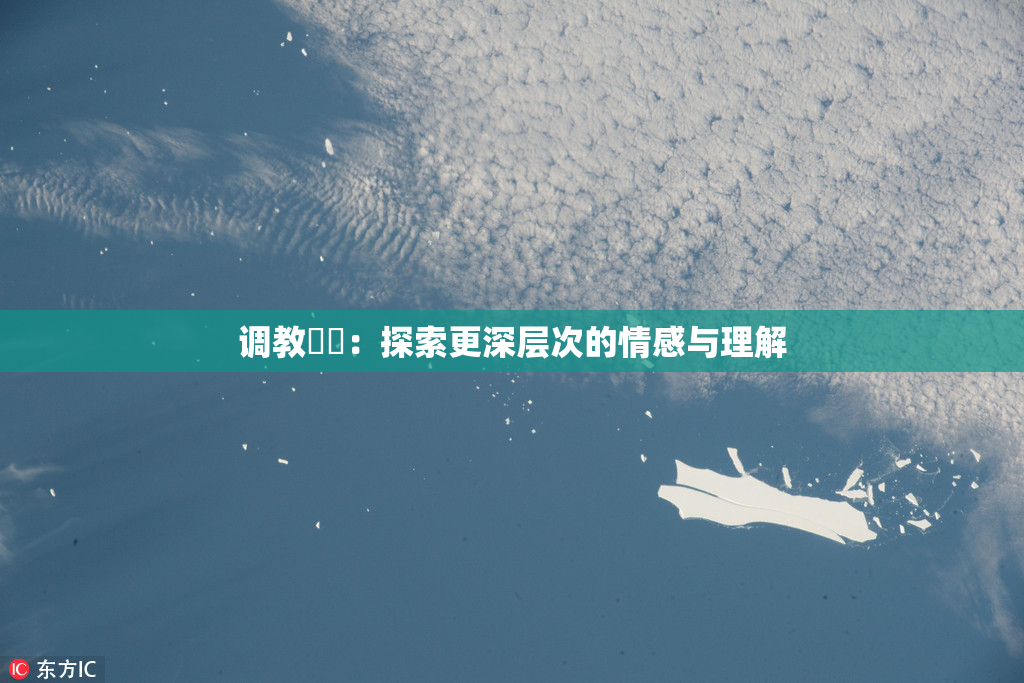 调教妺妺：探索更深层次的情感与理解