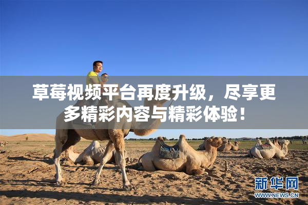 草莓视频平台再度升级，尽享更多精彩内容与精彩体验！