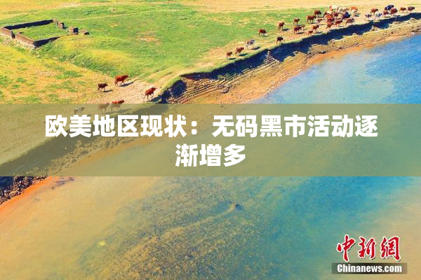 欧美地区现状：无码黑市活动逐渐增多