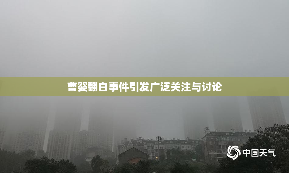 曹婴翻白事件引发广泛关注与讨论