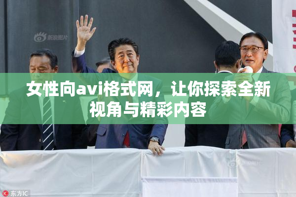女性向avi格式网，让你探索全新视角与精彩内容