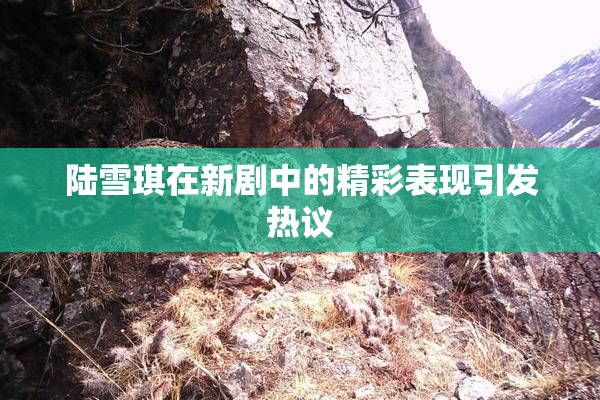 陆雪琪在新剧中的精彩表现引发热议