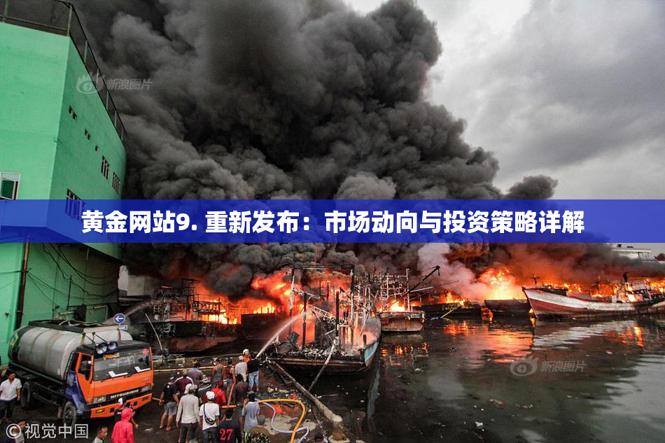 黄金网站9. 重新发布：市场动向与投资策略详解