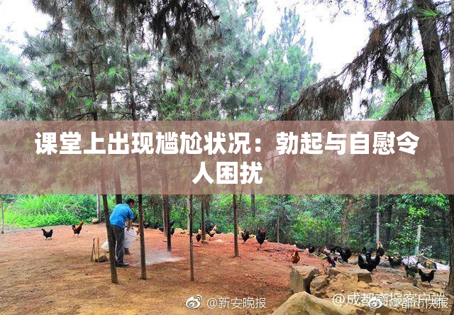 课堂上出现尴尬状况：勃起与自慰令人困扰