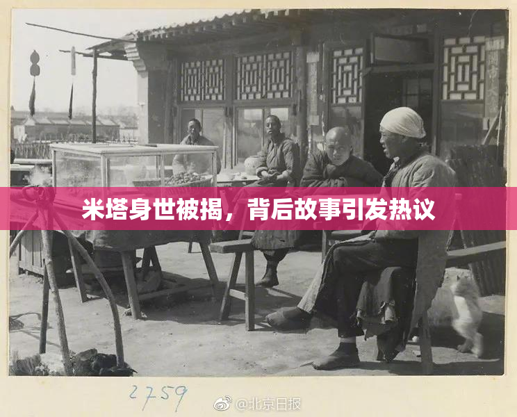 米塔身世被揭，背后故事引发热议