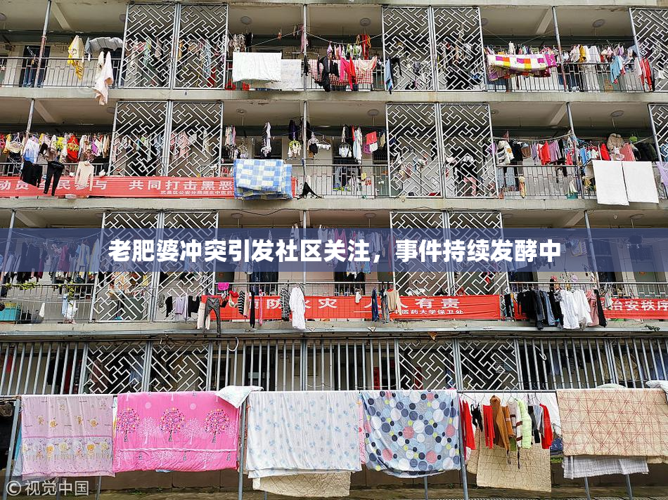 老肥婆冲突引发社区关注，事件持续发酵中