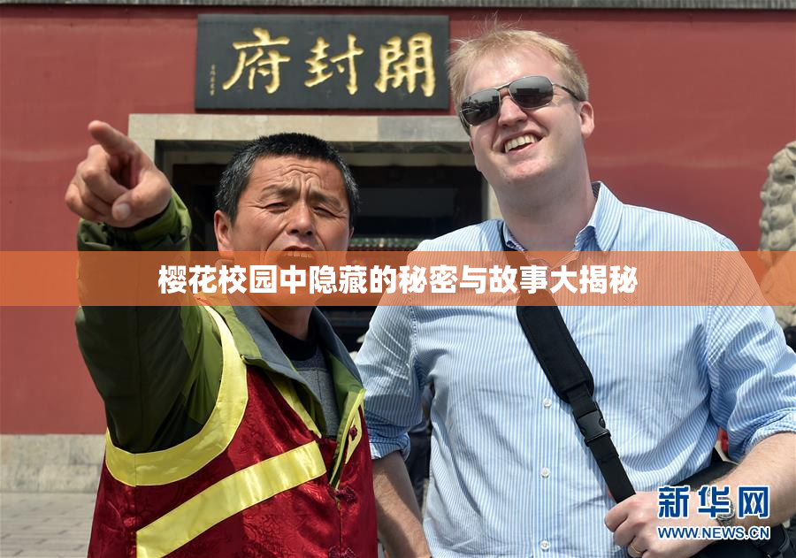 樱花校园中隐藏的秘密与故事大揭秘