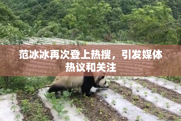 范冰冰再次登上热搜，引发媒体热议和关注