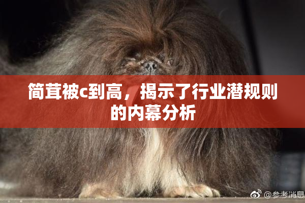 简茸被c到高，揭示了行业潜规则的内幕分析