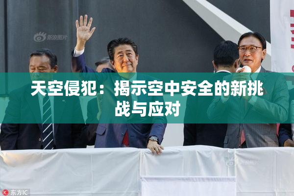 天空侵犯：揭示空中安全的新挑战与应对