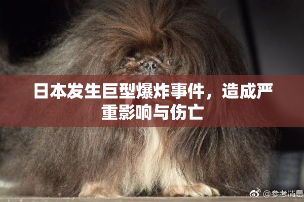 日本发生巨型爆炸事件，造成严重影响与伤亡