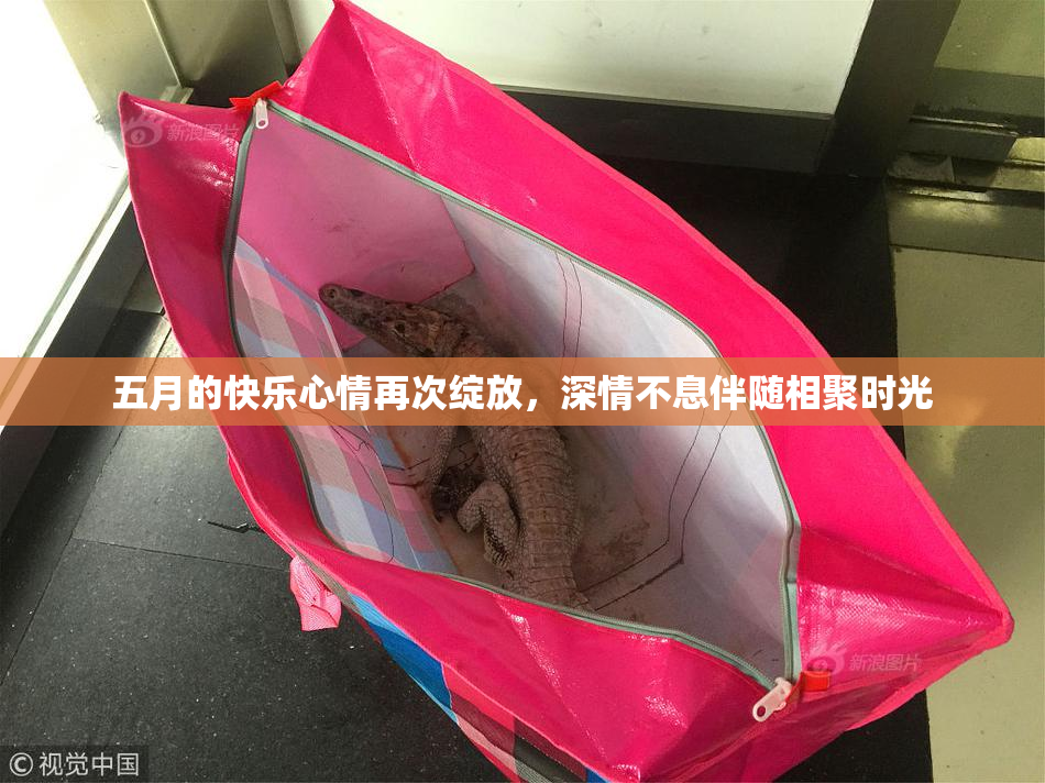 五月的快乐心情再次绽放，深情不息伴随相聚时光