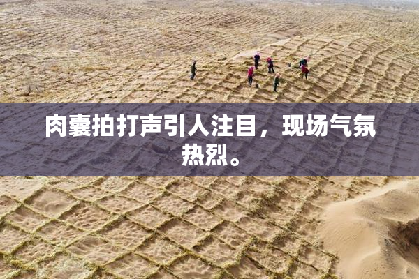 肉囊拍打声引人注目，现场气氛热烈。