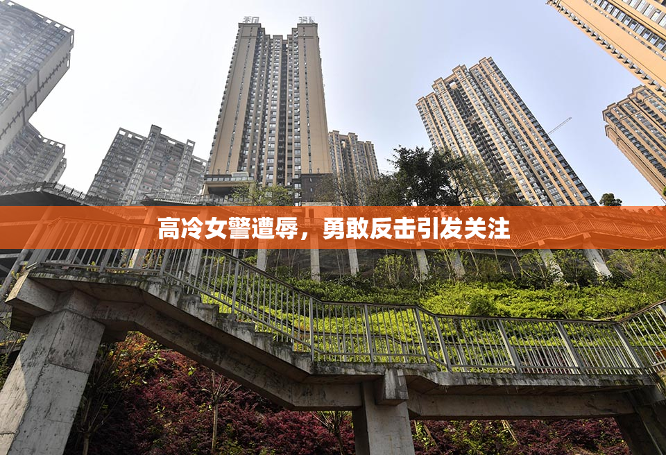 高冷女警遭辱，勇敢反击引发关注