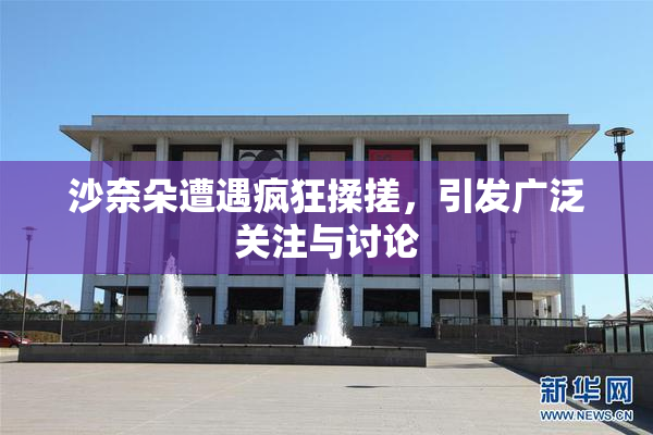 沙奈朵遭遇疯狂揉搓，引发广泛关注与讨论