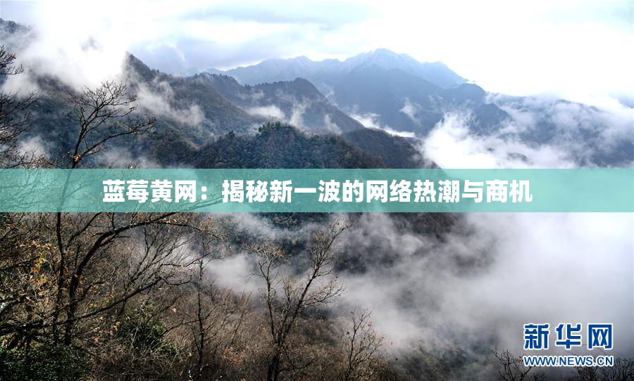 蓝莓黄网：揭秘新一波的网络热潮与商机