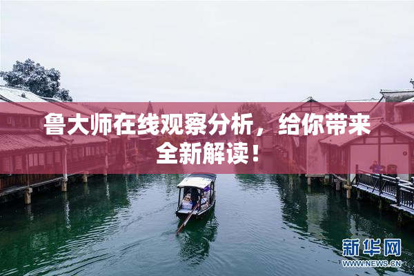 鲁大师在线观察分析，给你带来全新解读！