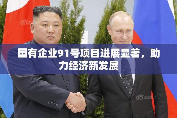 国有企业91号项目进展显著，助力经济新发展