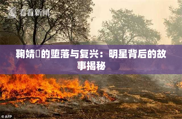 鞠婧祎的堕落与复兴：明星背后的故事揭秘