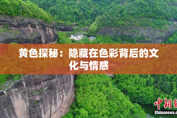 黄色探秘：隐藏在色彩背后的文化与情感
