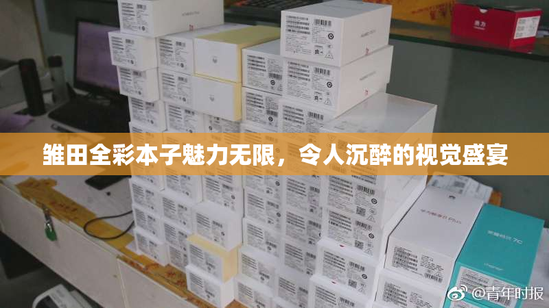雏田全彩本子魅力无限，令人沉醉的视觉盛宴
