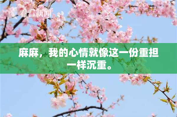 麻麻，我的心情就像这一份重担一样沉重。