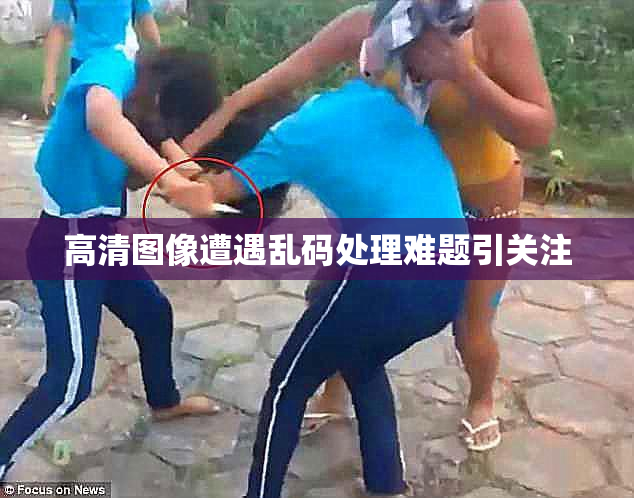 高清图像遭遇乱码处理难题引关注