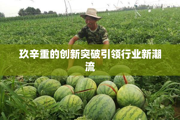 玖辛重的创新突破引领行业新潮流