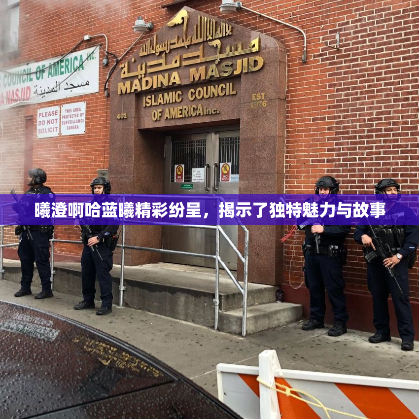 曦澄啊哈蓝曦精彩纷呈，揭示了独特魅力与故事