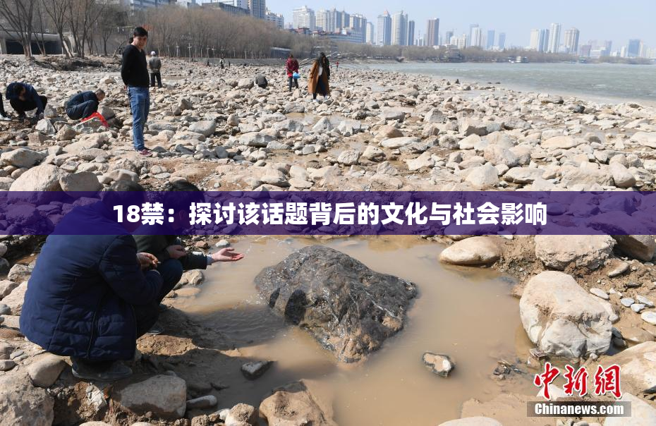 18禁：探讨该话题背后的文化与社会影响