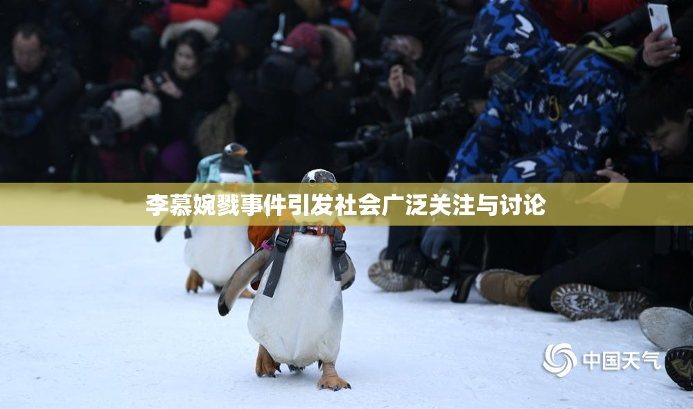 李慕婉戮事件引发社会广泛关注与讨论
