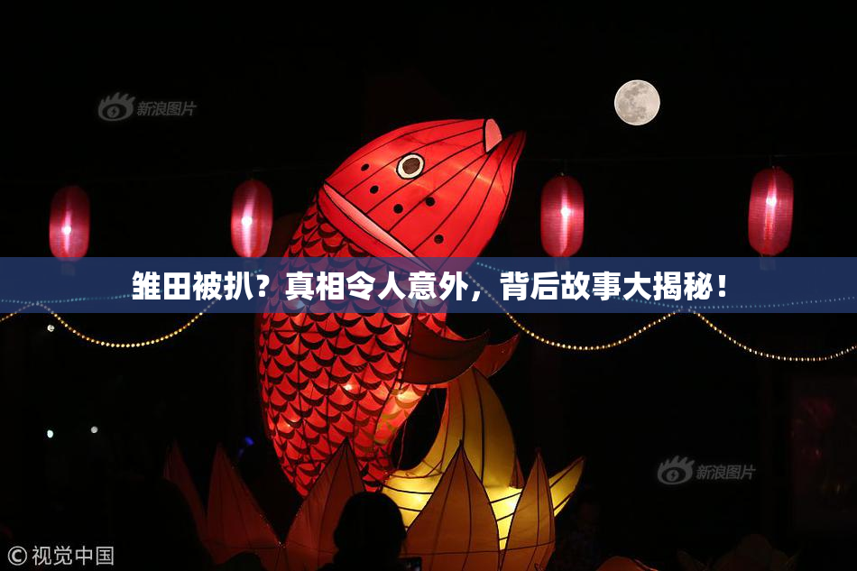 雏田被扒？真相令人意外，背后故事大揭秘！