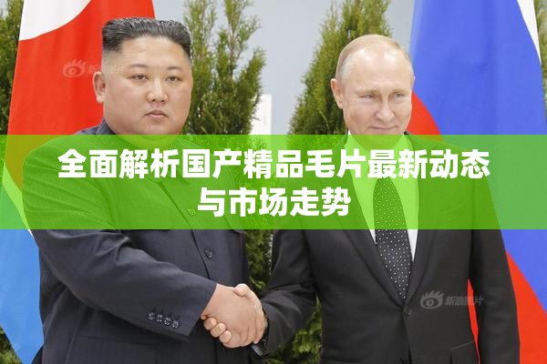全面解析国产精品毛片最新动态与市场走势