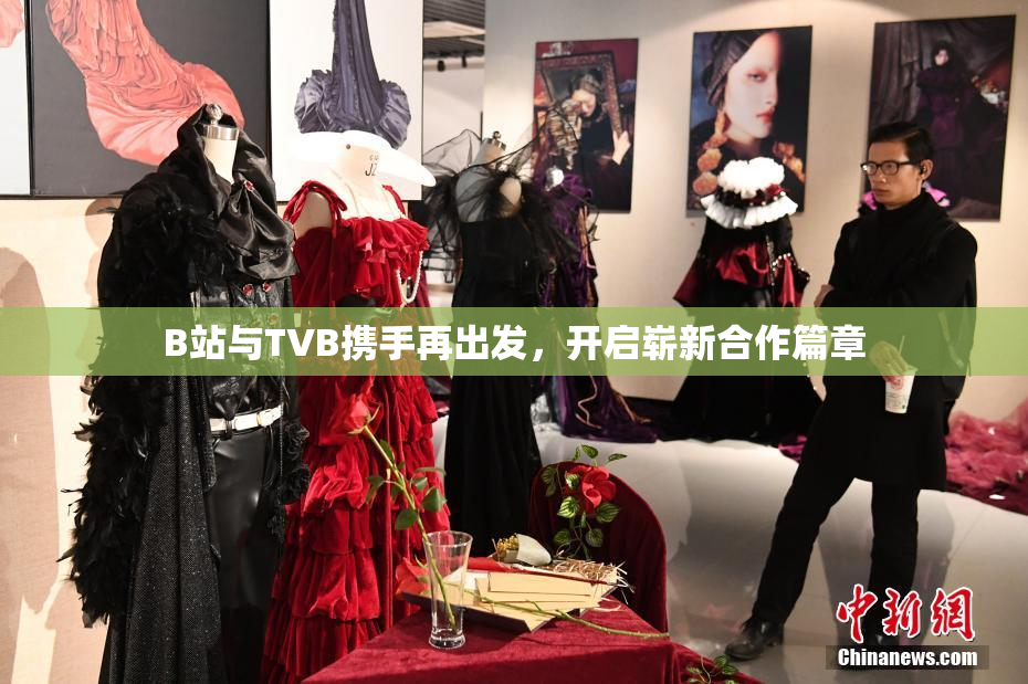 B站与TVB携手再出发，开启崭新合作篇章