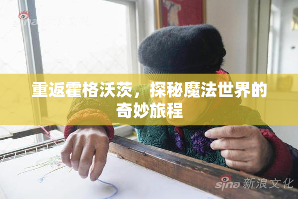 重返霍格沃茨，探秘魔法世界的奇妙旅程