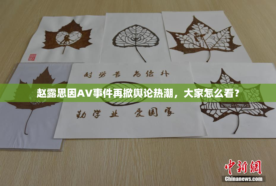 赵露思因AV事件再掀舆论热潮，大家怎么看？