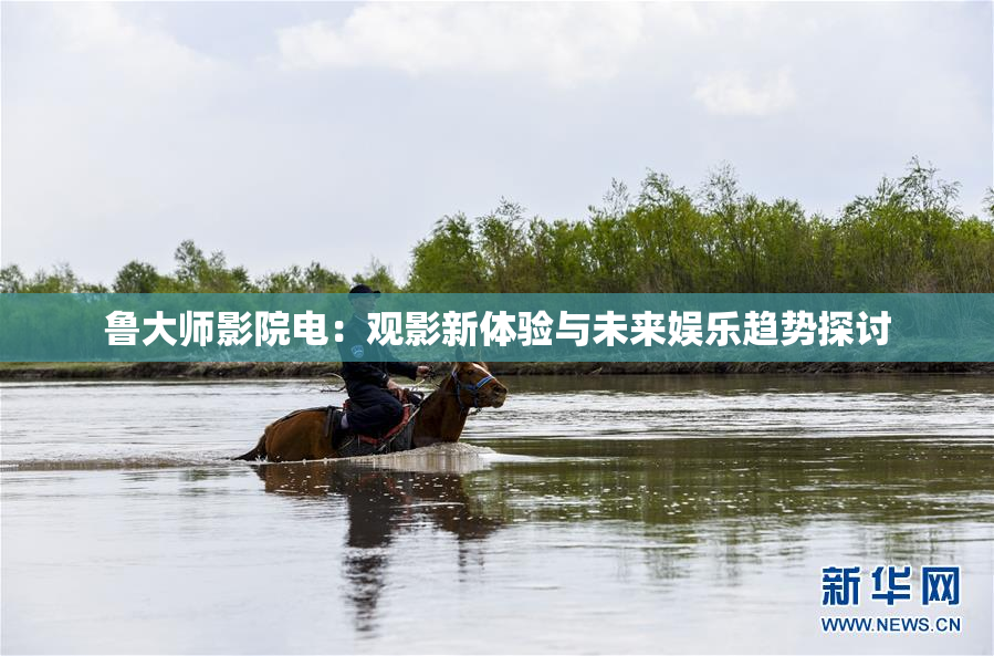 鲁大师影院电：观影新体验与未来娱乐趋势探讨