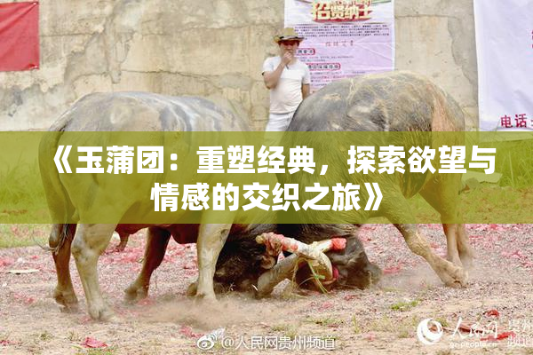 《玉蒲团：重塑经典，探索欲望与情感的交织之旅》