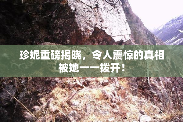 珍妮重磅揭晓，令人震惊的真相被她一一拨开！