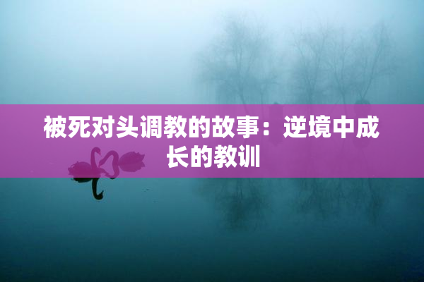 被死对头调教的故事：逆境中成长的教训