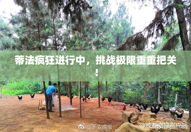 蒂法疯狂进行中，挑战极限重重把关！